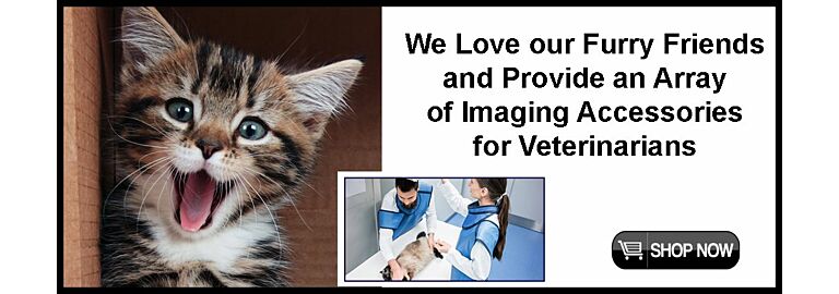 Purr-fect Positioning: Celebrate National Cat Day!