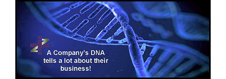 What is Your Company’s’ DNA?