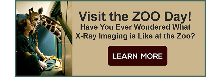 X-Ray Imaging at the Zoo! Go Visit a Zoo today