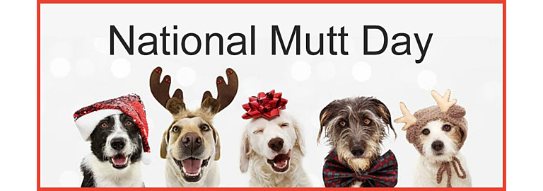 Celebrate National Mutt Day  