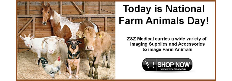 It's National Farm Animal Day 2024