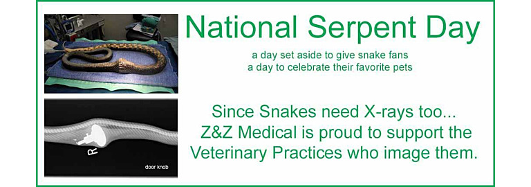 Feb 1 is National Serpent Day