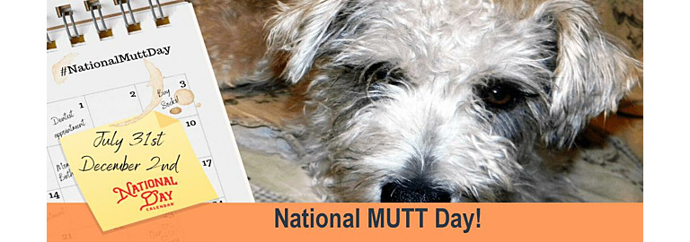 Today is National Mutt Day
