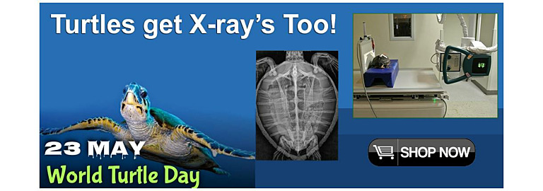 Do Turtles get X-Rays?
