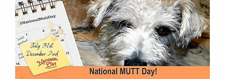 Happy National Mutt Day! Celebrating All Our Furry Friends with Z&Z Medical
