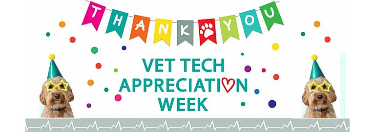 Celebrating the Heroes Behind Every Wag and Purr
