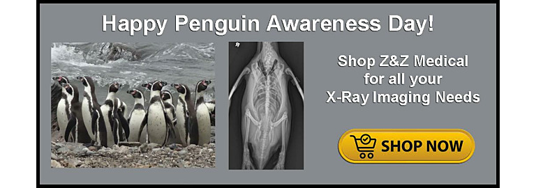 Celebrating Penguin Awareness Day: Honoring Nature's Waddling Wonders