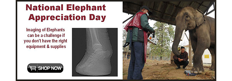 National Elephant Appreciation Day 2023
