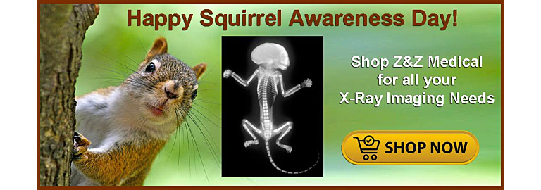 Celebrating Squirrel Appreciation Day: Unveiling the Wonders of X-Raying Squirrels
