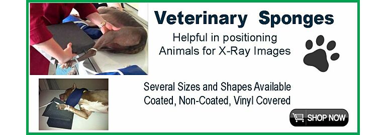 Splurge on a Spring Spruce Up: Upgrade Your Veterinary Positioning Sponges!