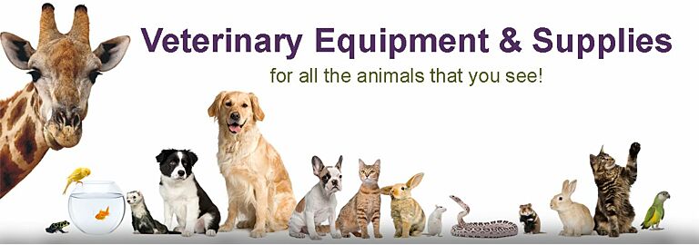 Veterinary Imaging Solutions That Work for Everyone — Even the Wiggly Ones!