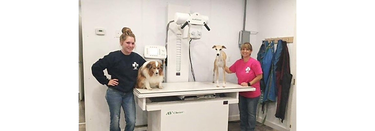 Veterinary X-Ray
