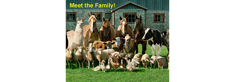National Farm Animals Day