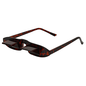 MRI Prism Glasses