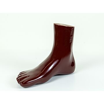 Foot and Ankle Phantom