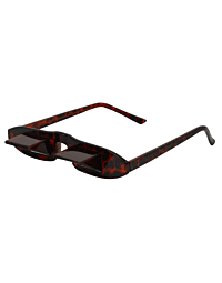 MRI Prism Glasses