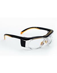 Model 206 Economy Radiation Glasses