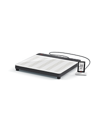 Flat Scale with ID Display