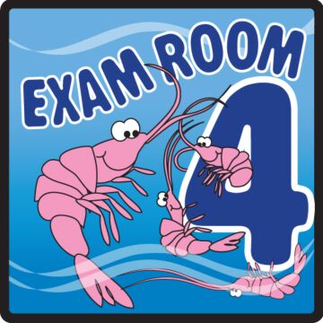 Pediatric Exam Room Sign (Exam Room #4)