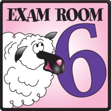 Pediatric Exam Room Sign (Exam Room #6)