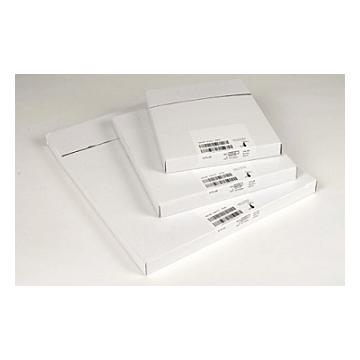 14x36 in. Full Length Agfa X-Ray Film