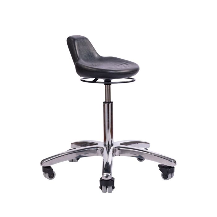 Sit to Stand Stool