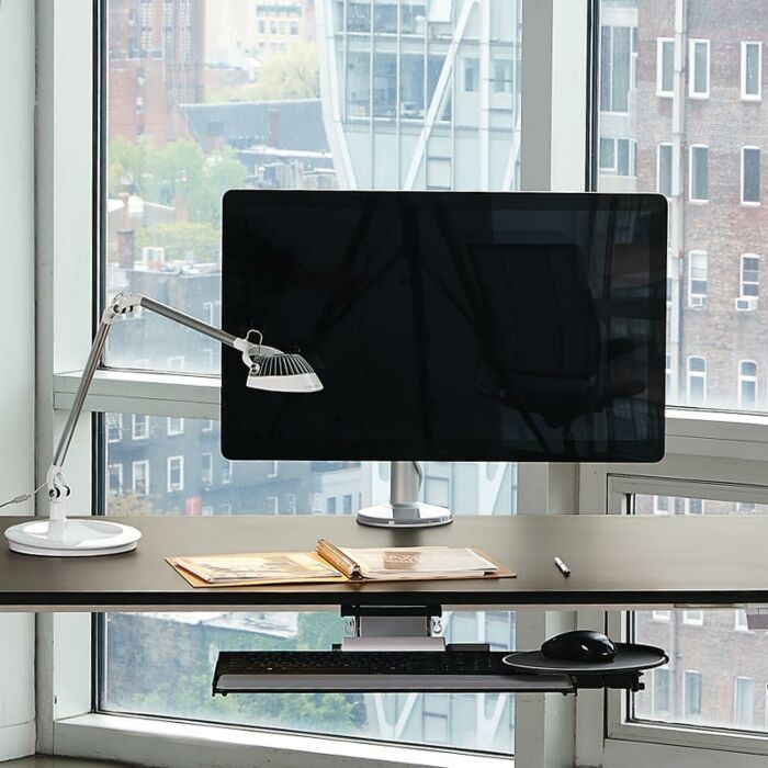 Element Vision Desk Light