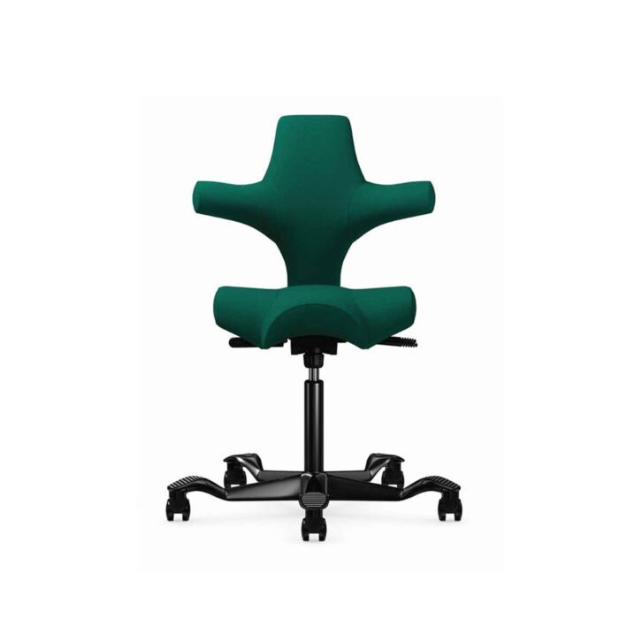 Buy HAG Capisco Ergonomic Chair w/ Medical Grade Covering Buy HAG Capisco Ergonomic Chair w/ Medical Grade Covering