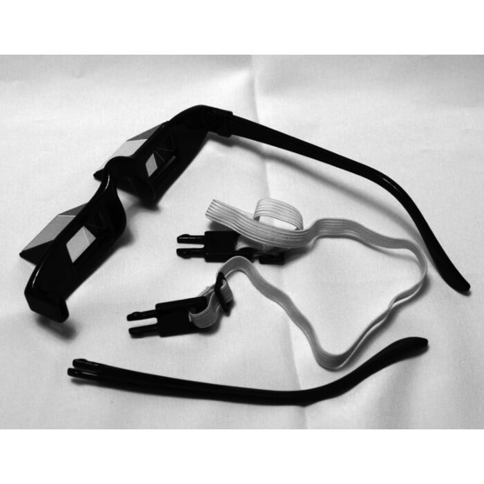MRI Reversible Prism Glasses