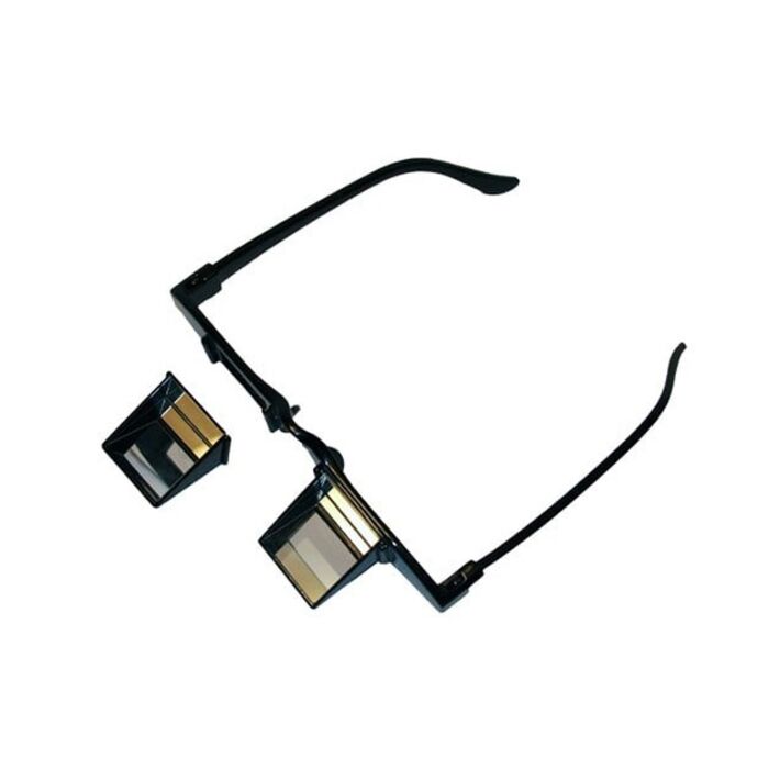 MRI Reversible Prism Glasses