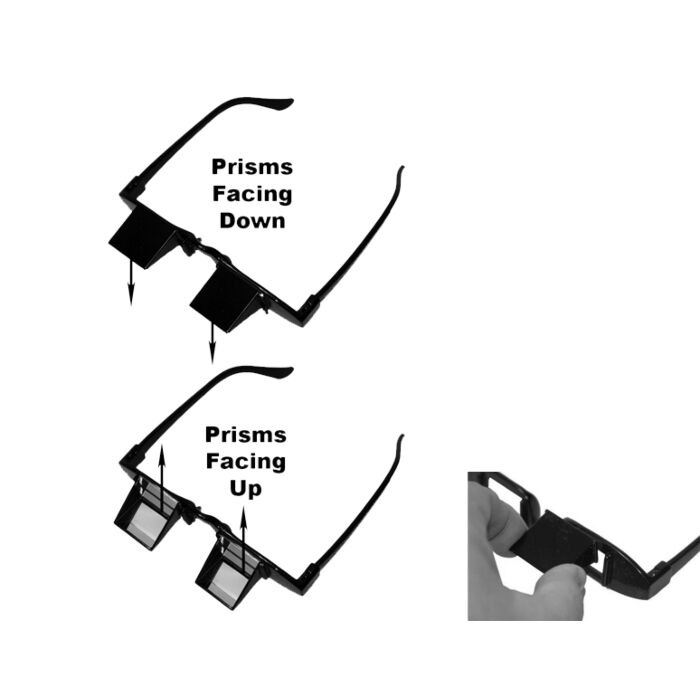 MRI Reversible Prism Glasses
