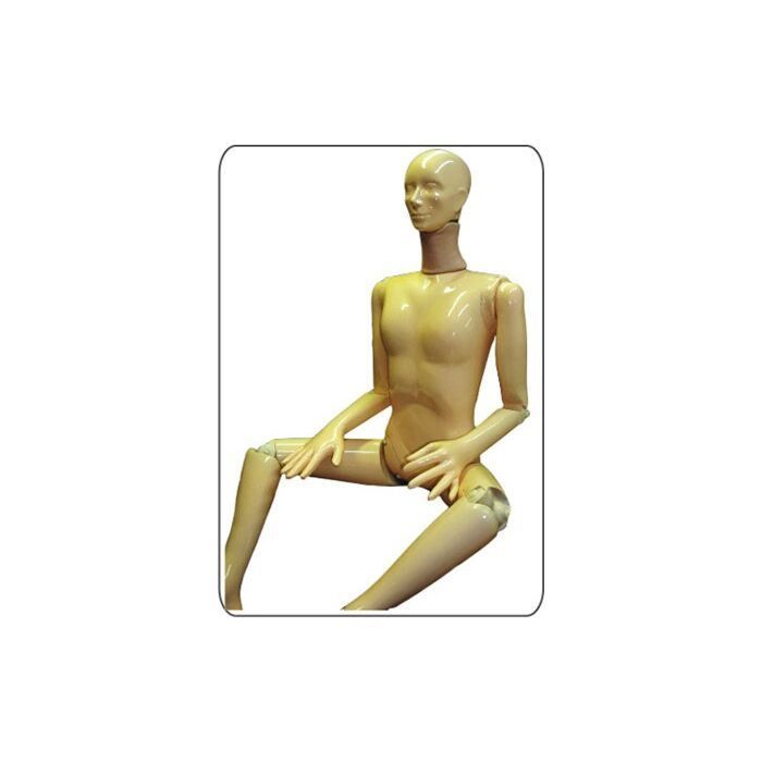 TAKE-APART PIXY Teaching Whole Body Phantom