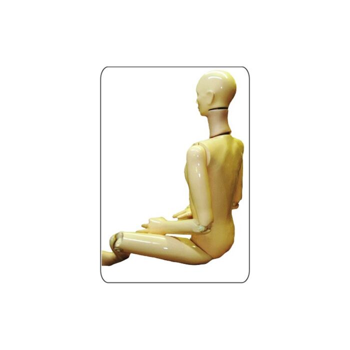 TAKE-APART PIXY Teaching Whole Body Phantom