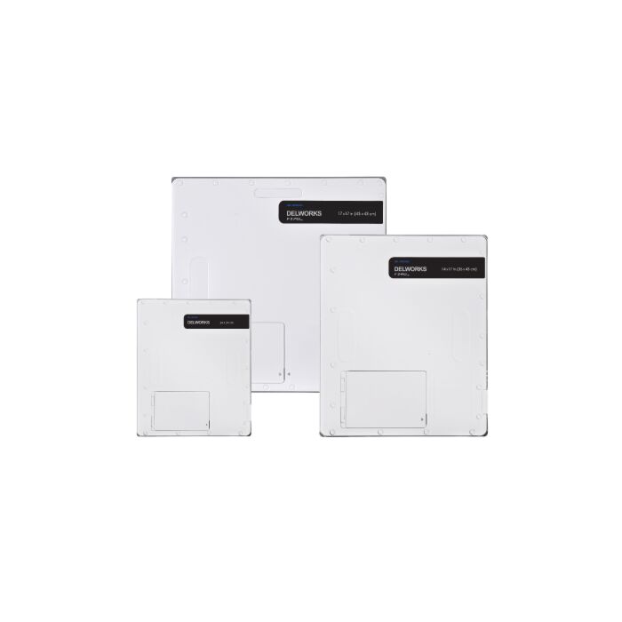 DELWORKS F-Series DR System