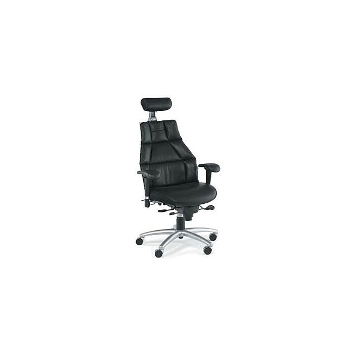 Verte Chair, Best Ergonomic Chair, Lumbar Support Chair