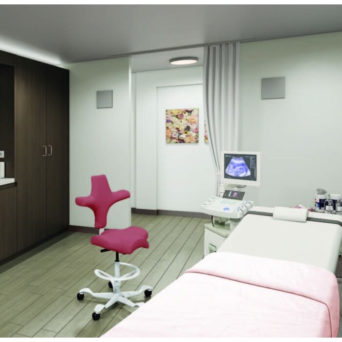 HAG Capisco Ergonomic Chair w/ Medical Grade Covering