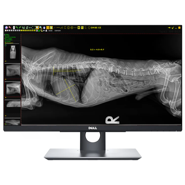 20/20 CFPT Wireless 14X17 Veterinary Direct Digital Imaging System - DR PANEL