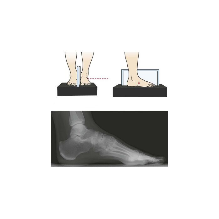 Dual Position Weight Bearing Cassette / DR Panel Holder 
