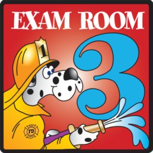 Pediatric Exam Room Sign (Exam Room #3)