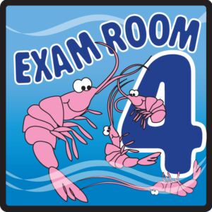 Pediatric Exam Room Sign (Exam Room #4)