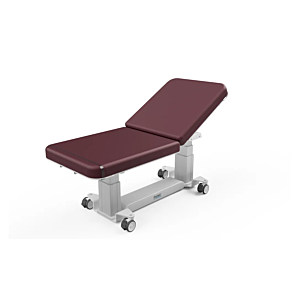 General 2-Section Top EA Ultrasound Table