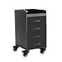 Compact Cart Storage Cart