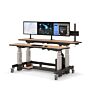 Ergonomic Electric Sit Stand Desk - 72" x 36"