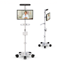 Remote Ergonomic Telemedicine Communication Cart 