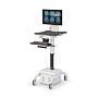 Medical Computer Cart with Optional Battery