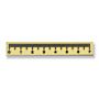 Medical & Dental Millimeter Ruler