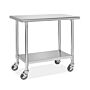 Standard Mobile Stainless-Steel Instrument Procedure Table
