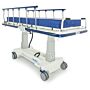 Hausted 5B800ST All-Purpose Bariatric Electric Stretcher