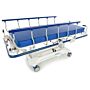 Hausted 5B800ST All-Purpose Bariatric Electric Stretcher