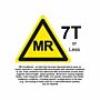 Non-Magnetic MRI Stretcher - 600lb. Capacity